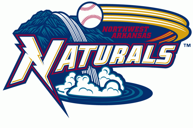 Northwest Arkansas Naturals 2008-Pres Primary Logo vinyl decal